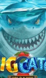 A Big Catch - Hold & Win