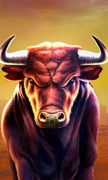 Black Bull